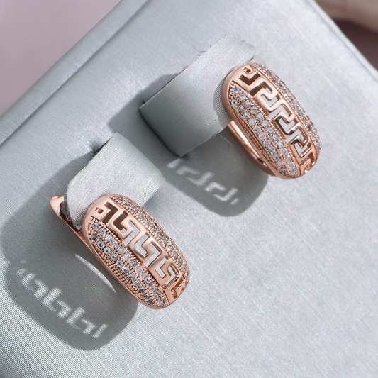 スタイリッシュな透け感のあるイヤリング